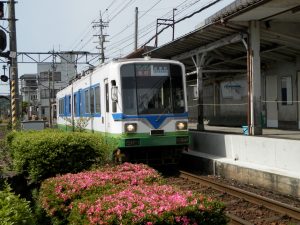 福井鉄道・神明駅にてつつじの季節