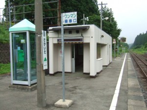 DSCF0606