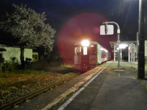 夜桜と陸羽東線